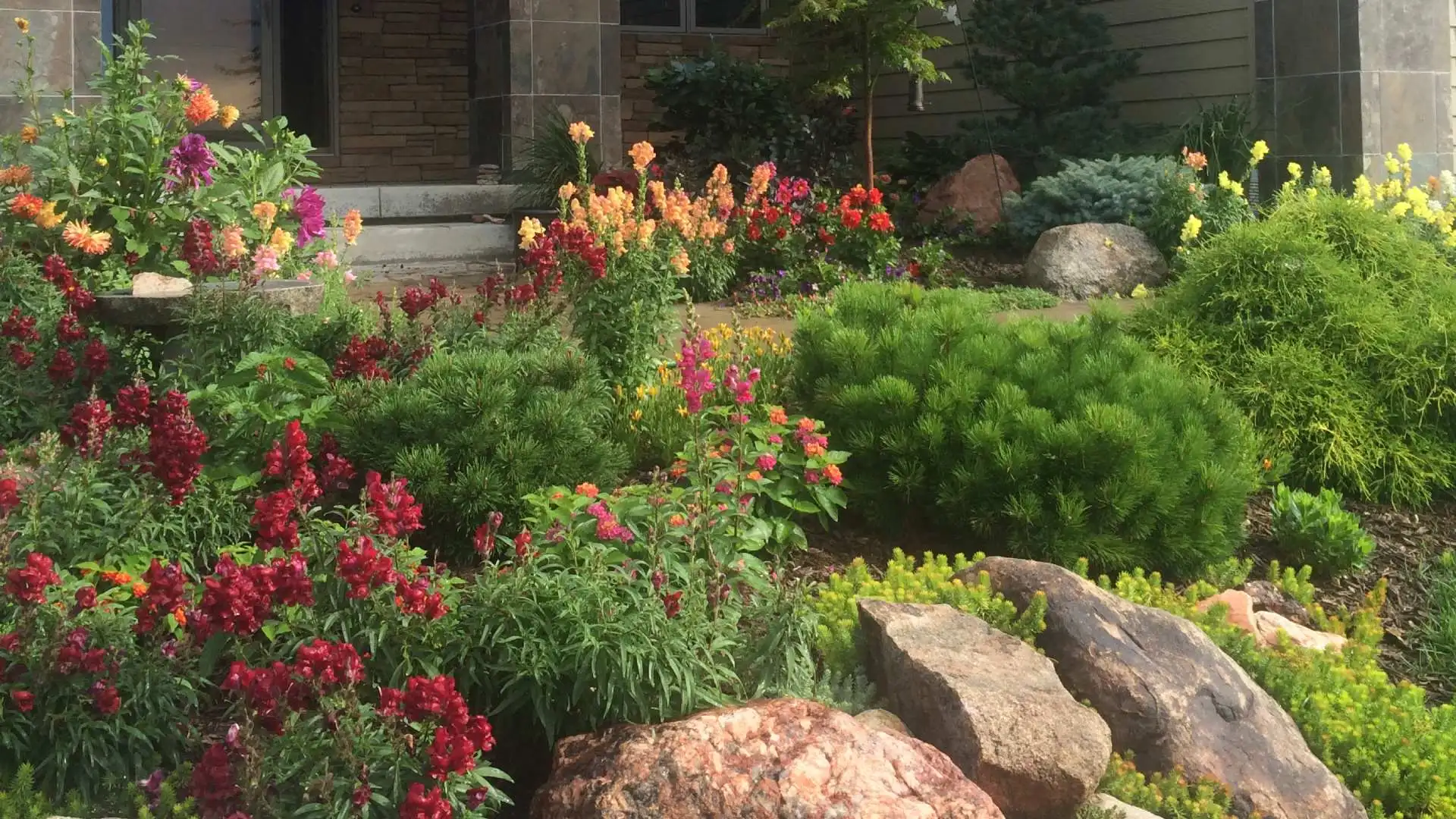 Frequently Asked Questions About Your Lawn & Landscape
