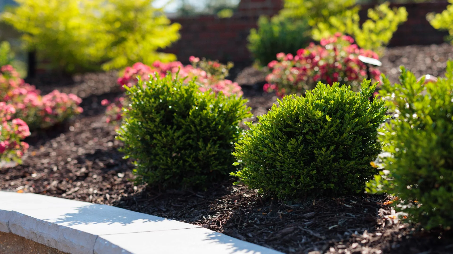 Which Ground Cover Should You Choose for Your Landscape - Mulch or Rock?