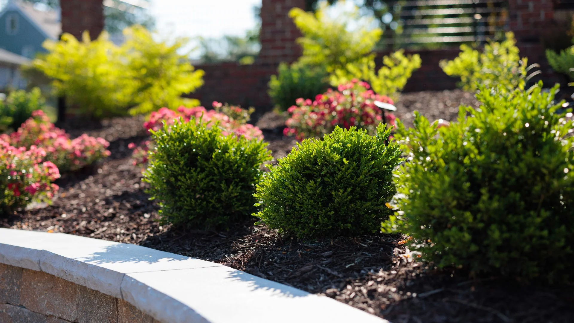 Planning Your New Landscape Beds - What Should You Consider?