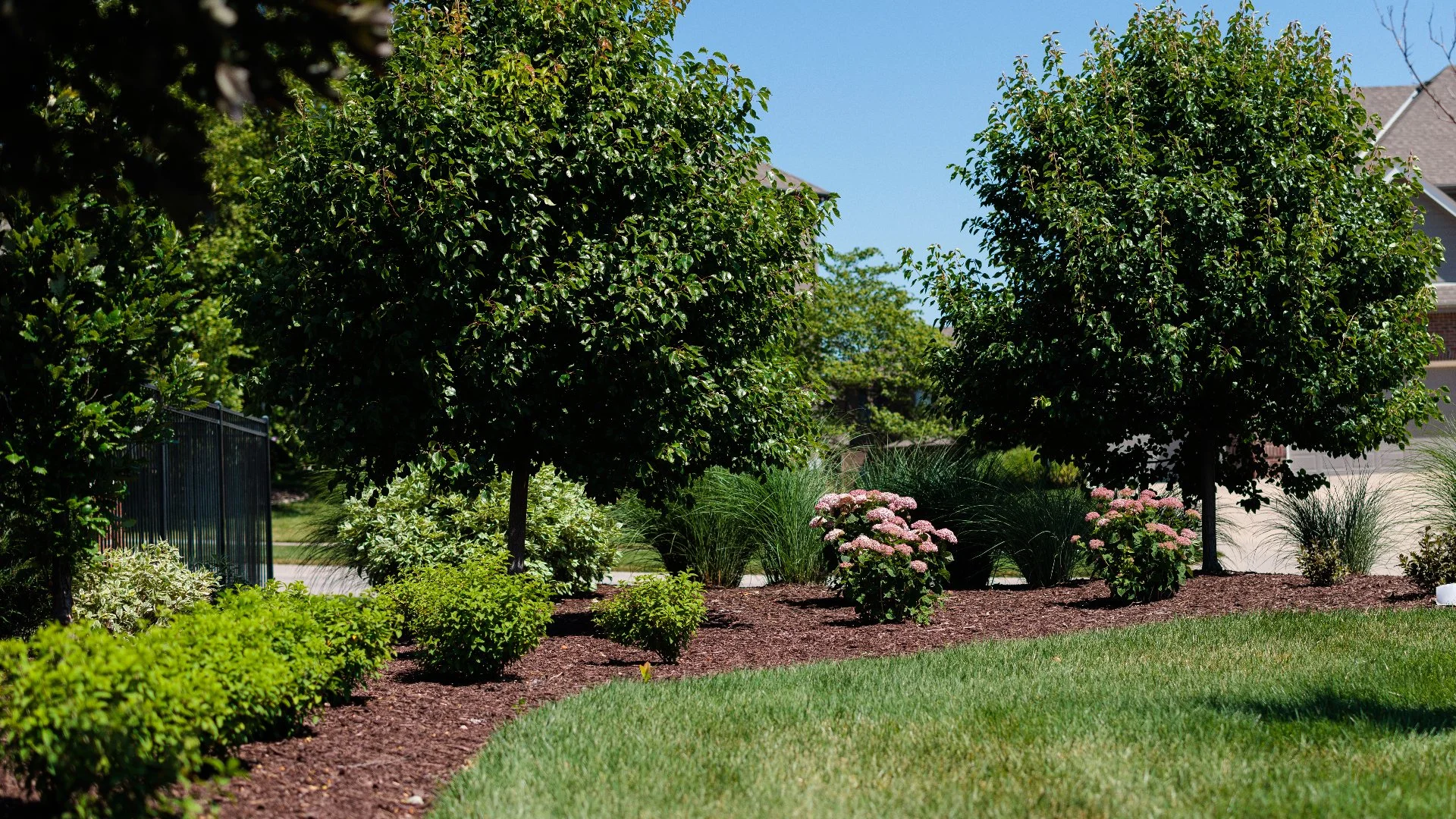 What Are Plant Cutbacks & When Should They Be Done?