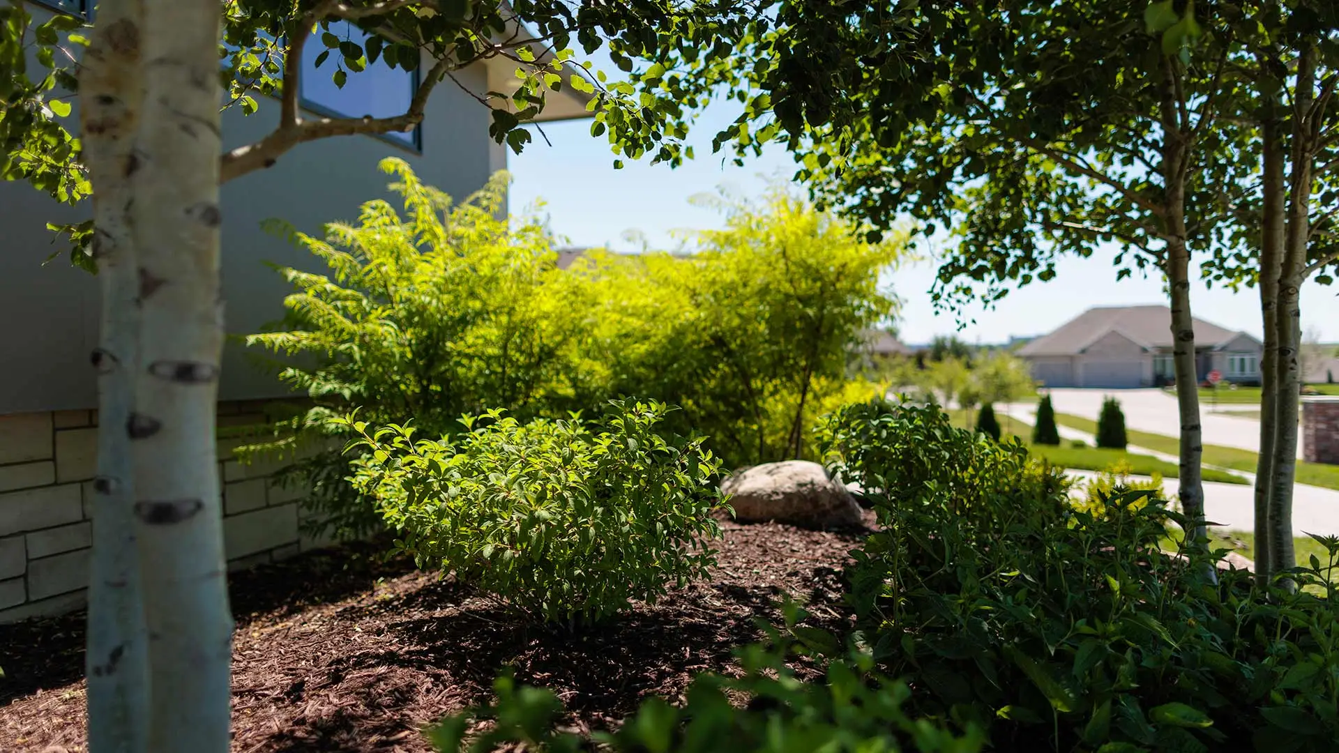 Trimmed bushes in a landscape bed in Valley, NE.