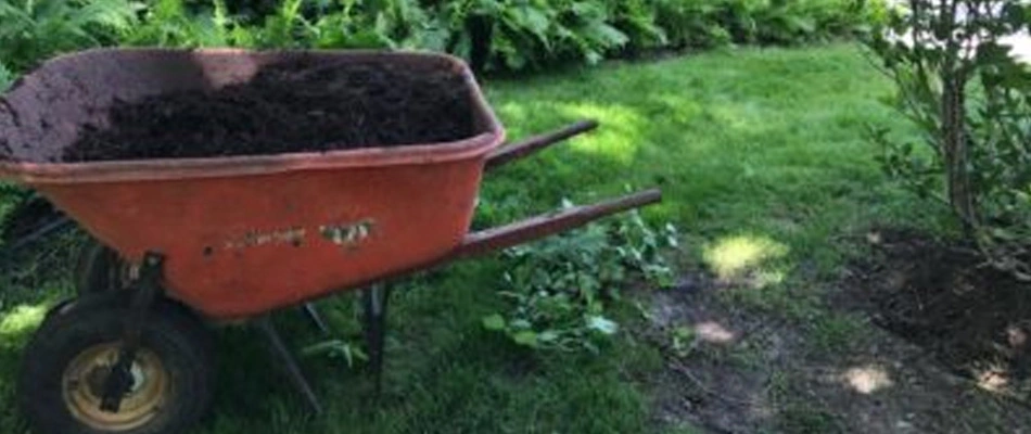 Fall Landscape Cleaning