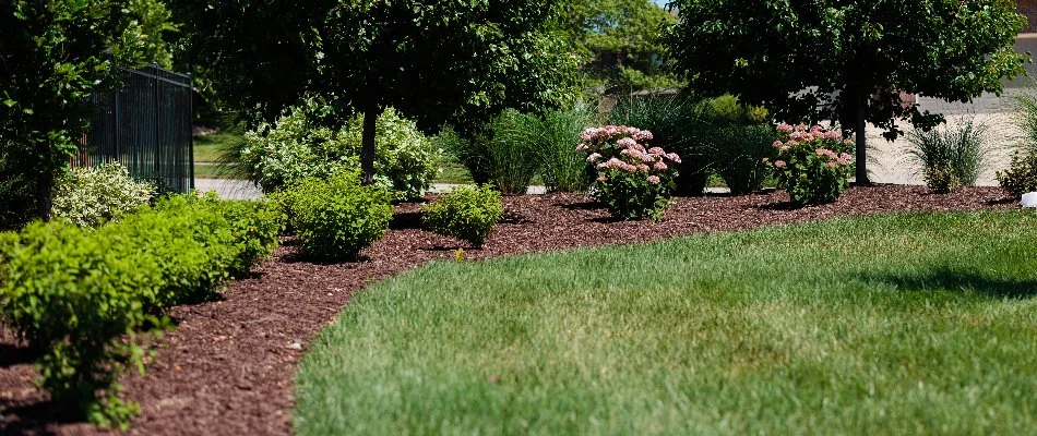 Landscape bed in residential backyard located in Omaha, NE.