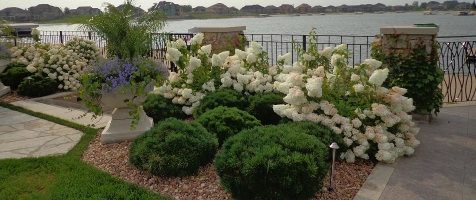 Shrubs trimmed beside plantings in landscape bed in Fremont, NE.
